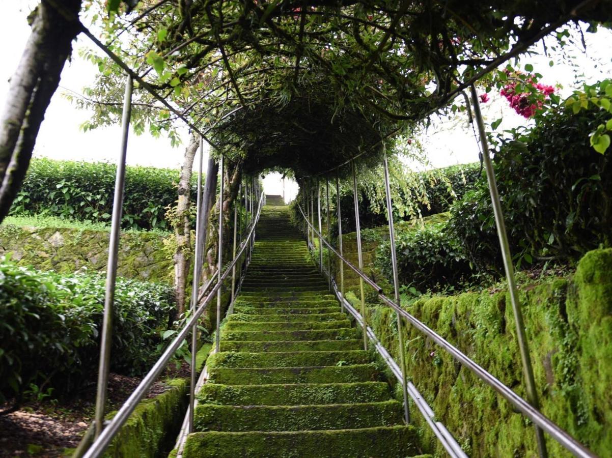 奋起湖小山霂茗住宿加早餐旅馆 外观 照片